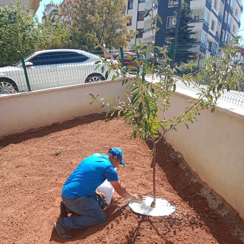 Ağaç çanak taş süslemesi