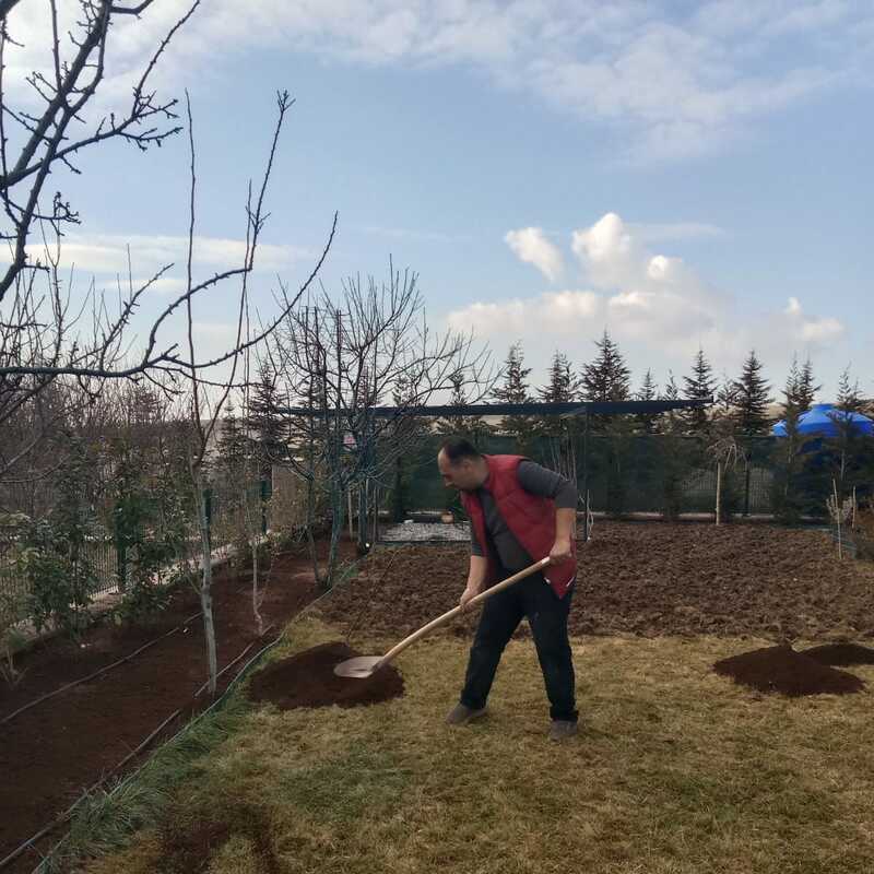 Kışlık Gübre  Atılması