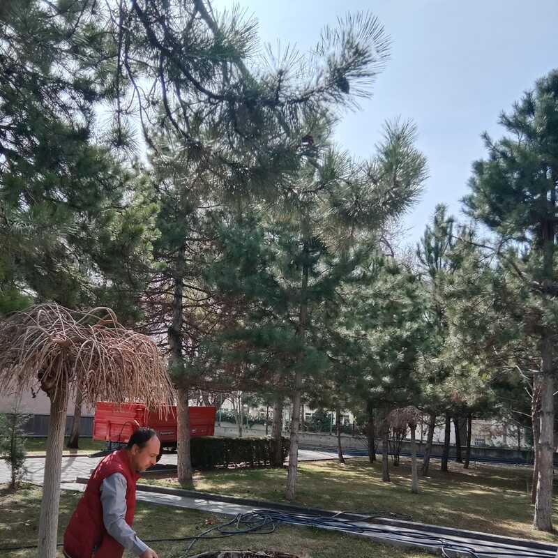 Kışlık Gübre  Atılması